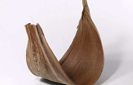 Kokos Schale Galera 40-55cm