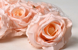 Rose Satin Peach D11cm