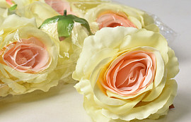 Rose D10cm Pastel Yellow/Salmon