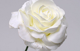 Foam Rose XL White, D 13cm