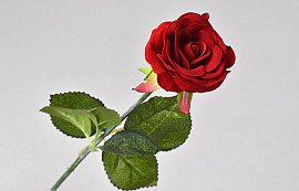 Künstliche Rose Rot D6cm L42cm