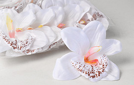 Orchidée D13cm Blanc