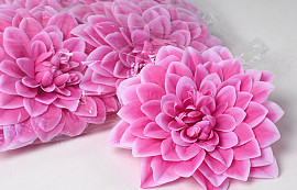 Dahlia Donkerroze D20cm