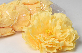 Peony Yellow D18cm