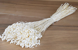 Briza Maxima Blanchi 70gr.