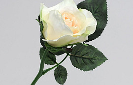 Roose 30cm Blanc