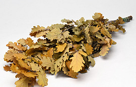 Oak Leaves Yellow 50-60cm