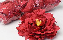 Peony Red D18cm