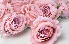 Rose Zartes Rosa D10cm