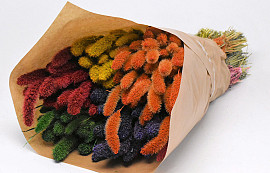 Bouquet Sétaire Assorti 6-pack 65cm