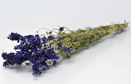 Bouquet Delphinium Bleu 65cm 2e qualité