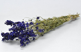 Delphinium Blauw 65cm 2e kwaliteit