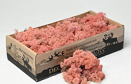 Reindeer Moss Light Pink 500g.