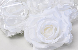 Rose Satin Weiß D11cm 