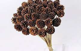 Pine Cone on 50cm stem