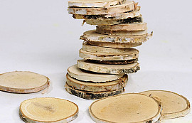 Birch Slices 19pcs