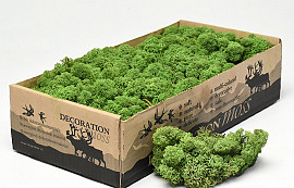 Reindeer Moss Medium Green 500g.