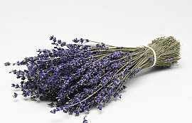 Dried lavender 70gr, 25cm