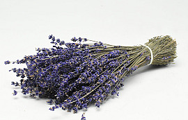 Getrockneter Lavendel  70gr, 25cm