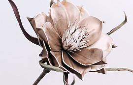 Blume Schaumstoff Mocca, D 20cm