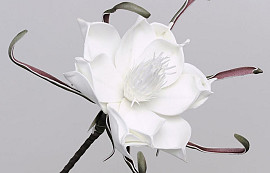 Foam Flower White, D 20cm