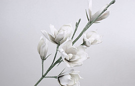 Schaumstoff Magnolia Weiß/Grau, D 18cm