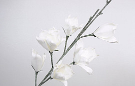 Foam Magnolia White, D 18cm