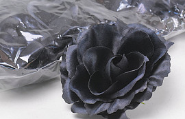 Rose Schwarz D11cm