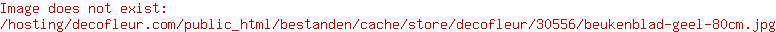 Buchenblatt Gelb 80cm