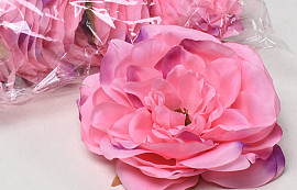 Peony Pink/Purple D13cm