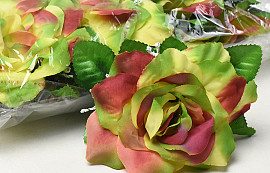 Rose Green/Yellow D12cm