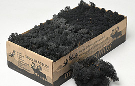 Reindeer Moss Black 500g.