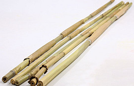 Bamboo Sticks 115cm