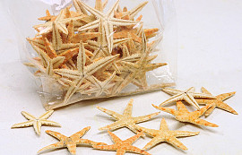 Shells Starfish Small 50pcs.