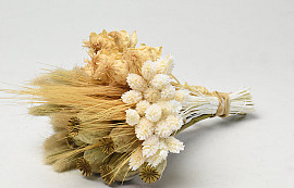 Dried Flower Bouquet White Natural 25cm