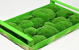 Cushion Moss light Green (Crate 38x58cm)