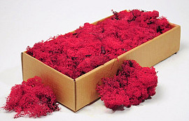 Reindeer Moss Raspberry Red 500g.