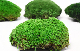 Boule de mousse Vert clair Enchantillon