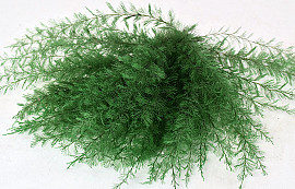 Air Fern Moosgrün 15cm 5-Pack 