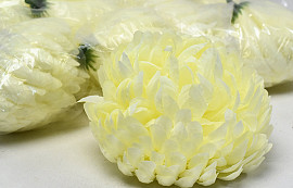 Chrysanthemum Yellow/Cream D13cm
