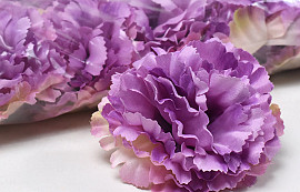 Carnation Violet D9cm