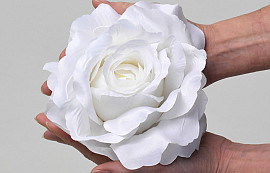 Roos Satijn D20cm Wit