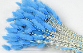 Bouquet Lagurus Bleu Pastel 65cm