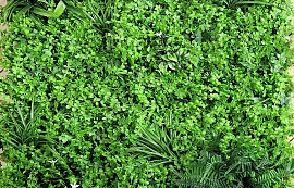 Green Plant Mat 1x1m Mix