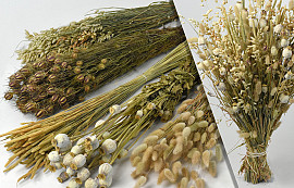 Dried Flower Bouquet Natural XL