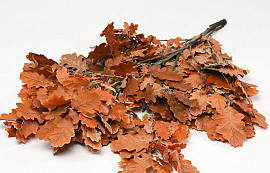 Oak Leaves Orange 50-60cm