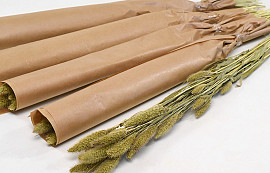 Setaria Wrapped 70cm