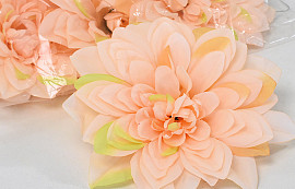Dahlia Peach 20cm 