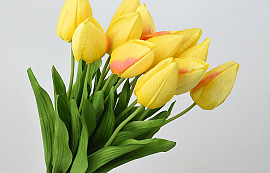 Tulip Yellow 50cm 