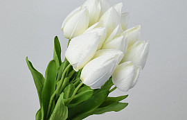 Tulipe Crème 50cm 